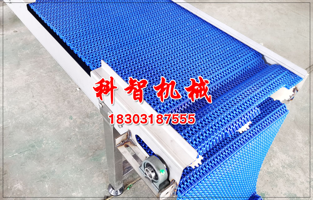 自動化流水線塑料網(wǎng)帶輸送機輸送設備